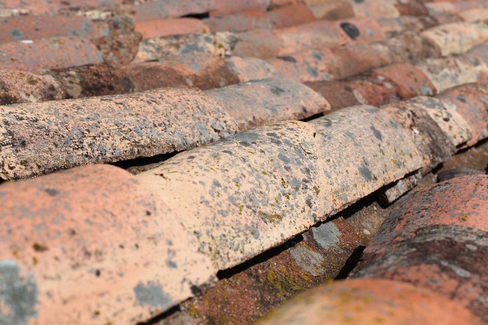 Pourquoi le nettoyage de toiture par un professionnel est important ? Saint Médard en Jalles 33