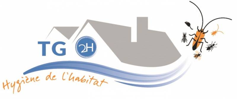 Professionnel spécialisé en traitement des bois de charpente pour éliminer des termites Civrac en Médoc proche Listrac Médoc